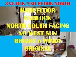 Blk 530 Bedok North Street 3 (Bedok), HDB 3 Rooms #161939312